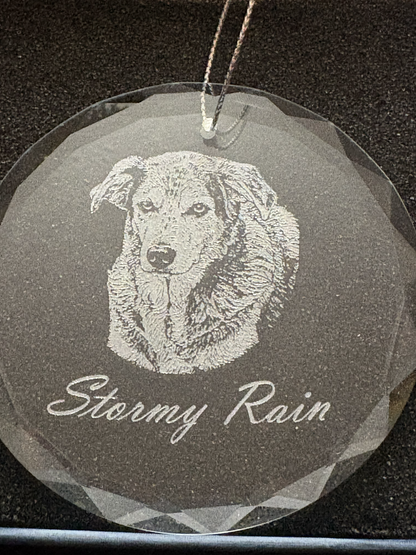 A round faceted clear glass hanging ornament with an engraved dog portrait and the words 'Stormy Rain,' shown against a dark textured background.