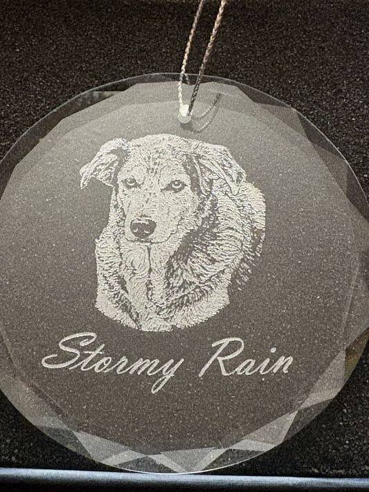 A round faceted clear glass hanging ornament with an engraved dog portrait and the words 'Stormy Rain,' shown against a dark textured background.